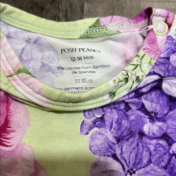 Posh Peanut skirted bodysuit.  Viscose/spandex size 12-18M - Picture 3 of 9